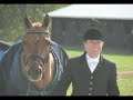DVCTA Dressage USDF Region1 2005