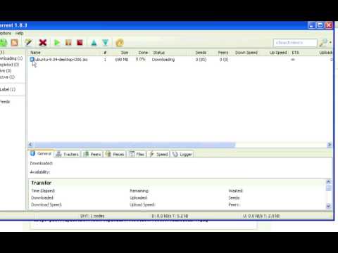 how to open torrented files