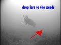 dead minnow twitch