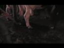 milking cows
