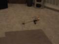 bcp inverted landings