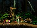Music: Donkey Kong Country 2 Forest Interlude