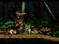 Music: Donkey Kong Country 2 Forest Interlude