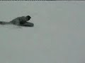 airboard fun vigla pisoderi xsports