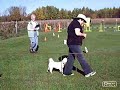 Compilation 2008