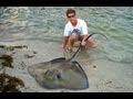 Saltwater Fishing for Monster Stingrays