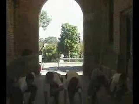 Riverview's own: The Cloisters Race