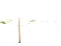 Dust Devils Miniature Tornado Dust Devils Miniature Tornado