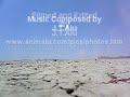 ever hear of dust devils?  those tornado-like cyclones which form on hot days in the desert?  this short movie shows a few dust devils in action as i film them from my jeep.