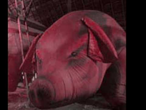 Pink Floyd - Pigs (Three Different Ones)
