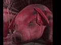 Pink Floyd - A História (Parte 8) - Pigs (Three Different Ones)