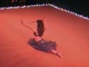 Leilainia of the Shimmy Sisters Bellydances to Dj Sandbag\