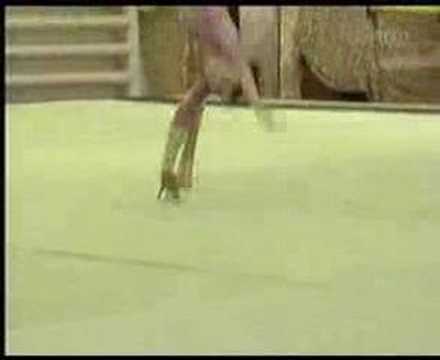 Romanian Girls Training Montage | turism si branding de tara