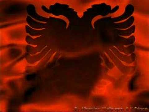 Nehat-Albaner