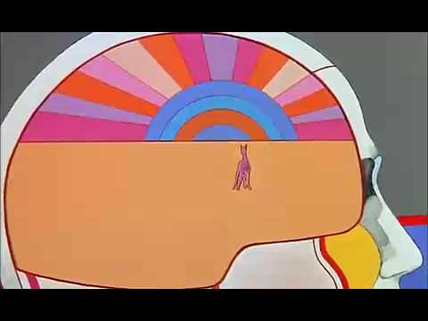 Internet is the new LSD Photo YouTube Preview Image