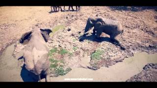 AFRIKA BIKE & JEEP SAFARI 2016
