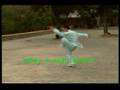 Yin Style Bagua Tai Chi : Advanced Performance KF669-6v ebay...Yin Style Bagua Tai Chi : Advanced Performance KF669-6v ebay