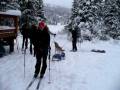 Alaska Sleddog Choir
