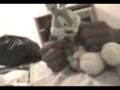 videos de Confesiones de bugsoscar.3gp