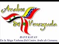 hany kauam verbena del centro arabe cumana 05 07 2007 