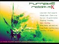 Turnpike Riddim Mix [January 2012] [Pure Music Productions] by Ganjah Guerilla. Please promote our channel and help us to spread Reggae Music ova di whole planet!! www.facebook.com