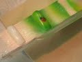 Airbrush Nail Art Naildesign Nageldesign Airbrushing Nails Airbrush Nail Art Naildesign Nageldesign Airbrushing Nails