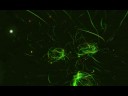 iTunes visualizer