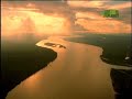 Fooled by Nature - Bull Shark Fooled by Nature - Bull Shark