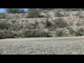 Falcon 3D 1st Flights