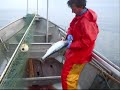 Commercial Fishing in Alaska