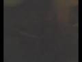 videos de d