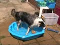 Merlin takes a bath