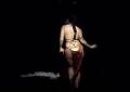 Burly Burlesque Princess Leia