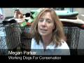 videos de Collaboration for the Animals - Please Watch and Support