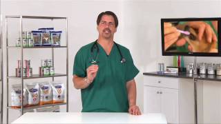 Canine Dental: Taking Care of Your Dog's Teeth - VetVid Episode 001