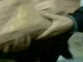 videos de LEOVINCE YZF R125