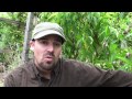 www.permacutlureartisans.com - Erik Ohlsen takes you on a tour of an edible oasis he created on a 1/3 acre asphalt lot, encouraging you to think about sustainable living for small-town and suburban life. In the face of drought, fire, peak oil, energy depletion, soil depletion and more, what can you do to live a more eco-friendly life? The Permaculture Neighborhood Center - Permaculture Artisans, Earth Activist Training