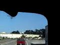 christine and i discussing on our way home from crissy field with the dawgs...