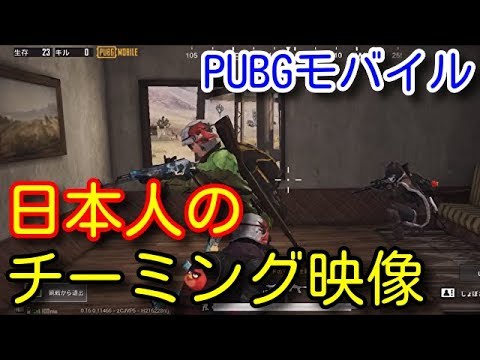 Pubg ラスト 立ち回り