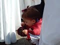 domingo de ramos en el porvenir