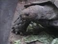 Zoo Part 4