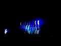 Faithless @ Creamfields 2005, insomnia