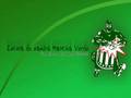 Mancha alvi verde