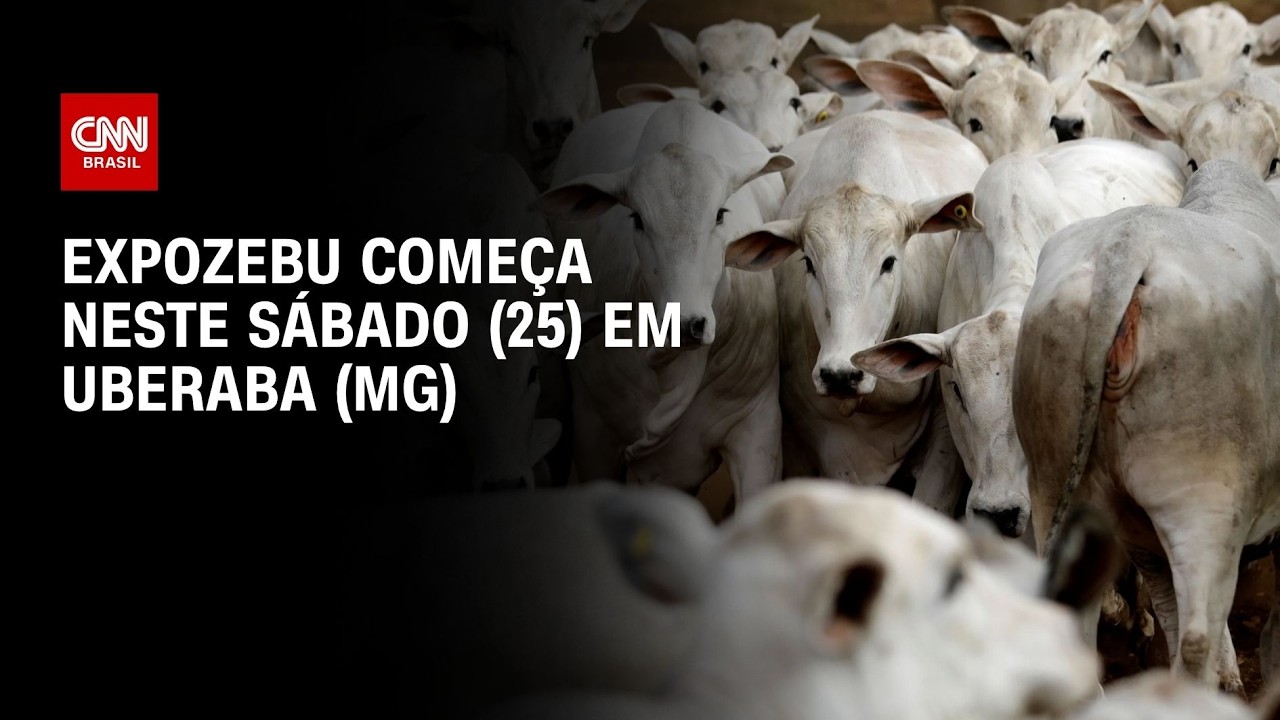Expozebu: Feira deve movimentar R$ 200 milhões em negócios | AGORA CNN