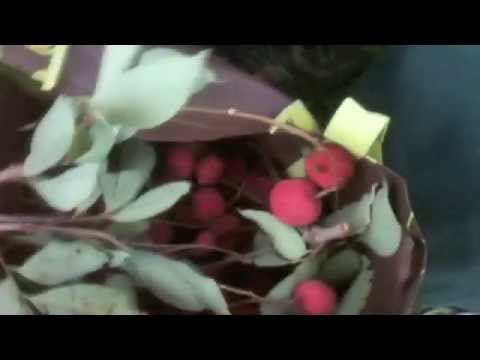 how to harvest lychee fruit