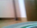 vuelta con opel astra en scalextric