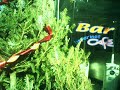 Passeggiata mattutina a Ischia - primo dell\ Passeggiata mattutina a Ischia - primo dell\