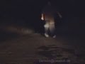 thecwalk.com vs cwalkin.de - carlson vs. keelo