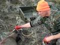 videos de Field Dressing a Mule Deer in Montana