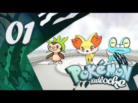 how to remove nicknames in pokemon x
